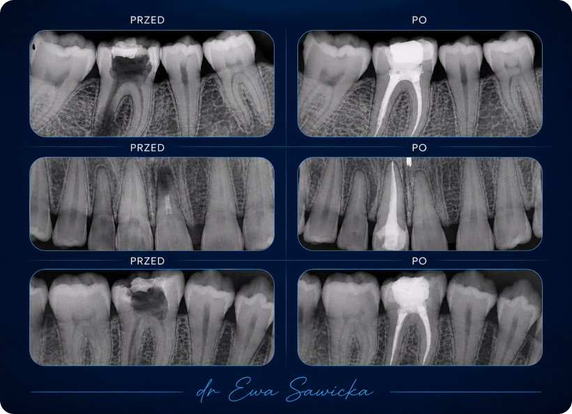 Metamorfozy 6 image 8